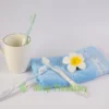 bàn chải ion eco care 2