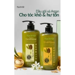 argant hư tổn 2