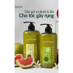 bơ bưởi 3