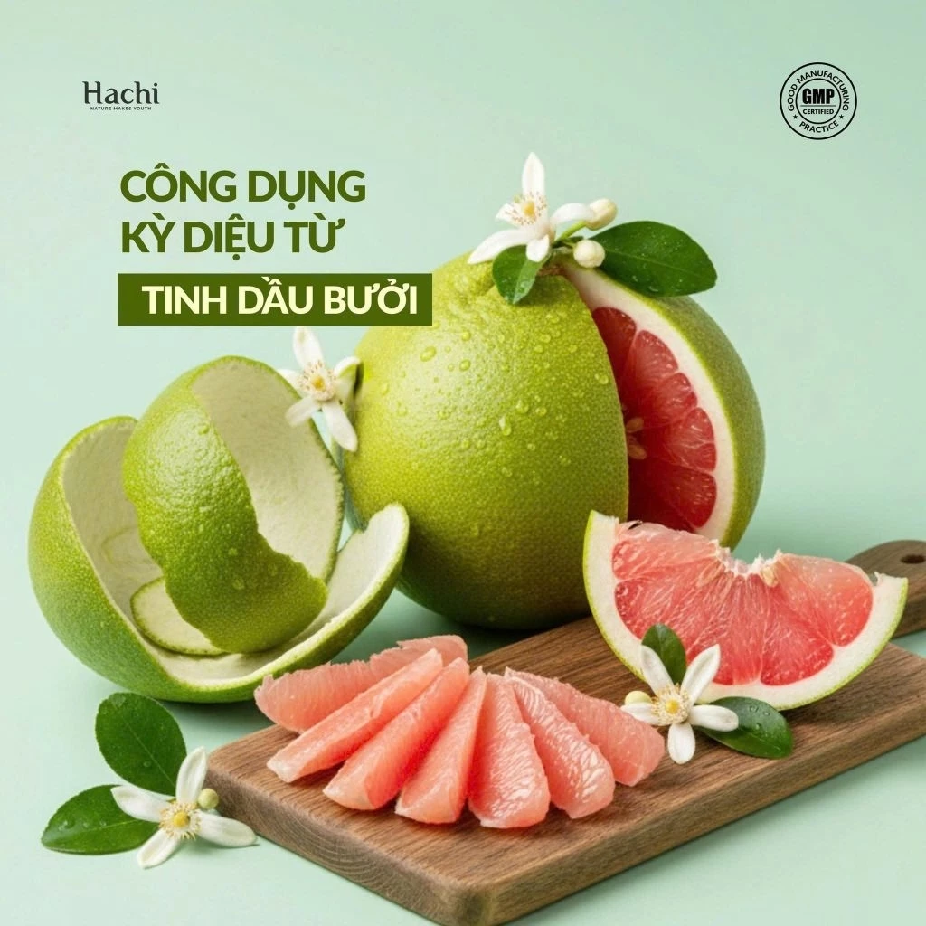 bơ bưởi 7