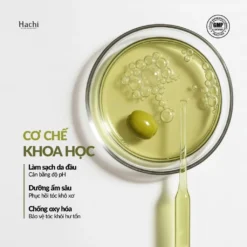 olive sạch gàu hết ngứa 5