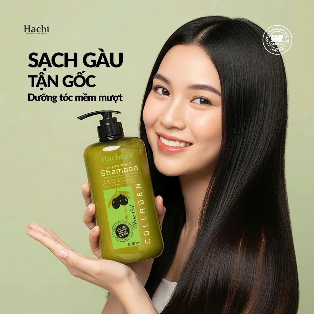 Dầu gội Trị Gàu Hachi Olive