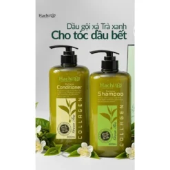 trà xanh dầu bết 2
