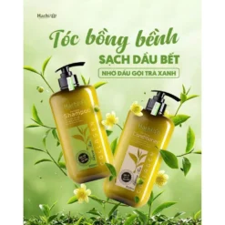 trà xanh dầu bết 8